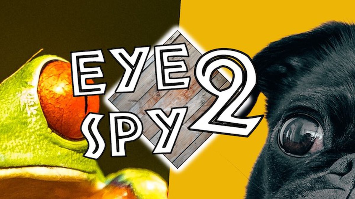 Eye Spy 2 image number null